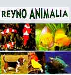 Logo de Reyno Animalia