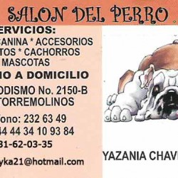 Salon del perro img-0