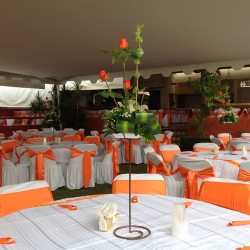 Salón Jardín Hacienda los Itzicuaros img-17