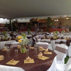 Salón Jardín Hacienda los Itzicuaros img-16