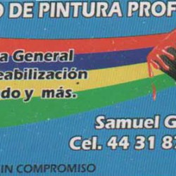 Servicio de Pintura Profesional img-0