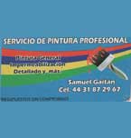 Logo de Servicio de Pintura Profesional
