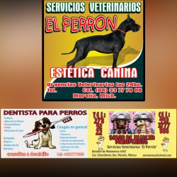 Servicios Veterinarios El Perrón img-0