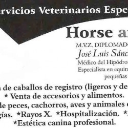 Servicios Veterinarios Especializados img-0