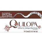 Logo de Taller de Guitarras  Quilopa