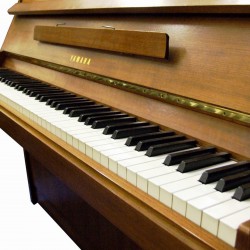 Arreglos y Afinaciones de Pianos img-5