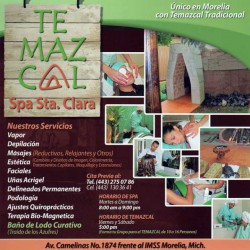 Temazcal Spa Sta. Clara img-0