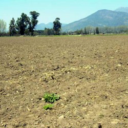 Venta de Terrenos img-0