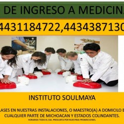 Instituto Soulmaya img-0