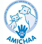 Logo de Amichaa Asociación Civil