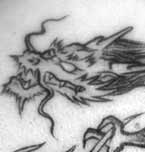 Logo de Blue Dragón Tattoo Studio