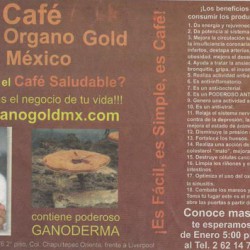Café Organo Gold México img-0