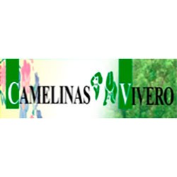 Camelinas Vivero img-0