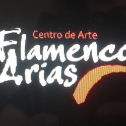 Centro de Arte Flamenco Arias img-32