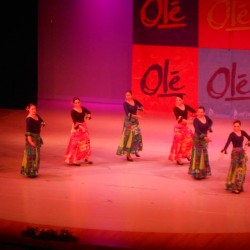Centro de Arte Flamenco Arias img-11