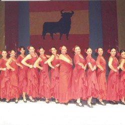 Centro de Arte Flamenco Arias img-14
