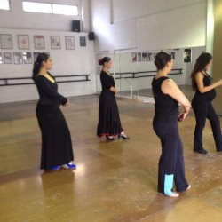 Centro de Arte Flamenco Arias img-25