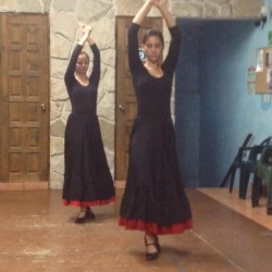 Centro de Arte Flamenco Arias img-23