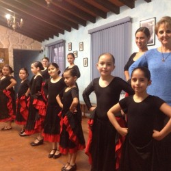 Centro de Arte Flamenco Arias img-20