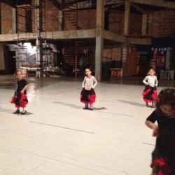 Centro de Arte Flamenco Arias img-17