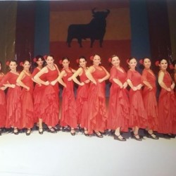 Centro de Arte Flamenco Arias img-13