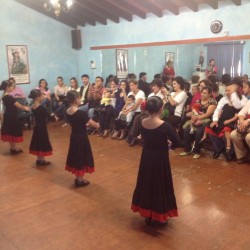 Centro de Arte Flamenco Arias img-15