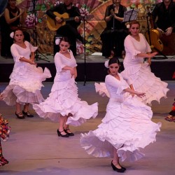 Centro de Arte Flamenco Arias img-28