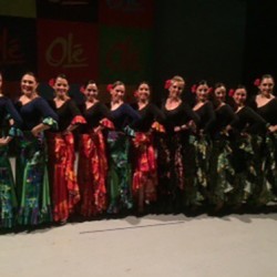 Centro de Arte Flamenco Arias img-4