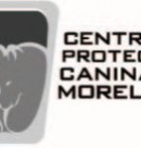 Logo de Centro de Protección Canina de Morelia, AC