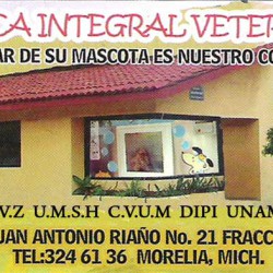 Clínica Integral Veterinaria img-0