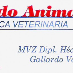 Clínica Veterinaria Mundo Animal img-0
