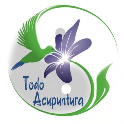 Homeopata y Acupunturista Ema Figueroa A.C. 6995/11 img-1
