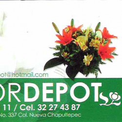Flor Depot img-0