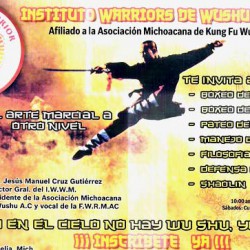 Instituto Warriors de Wushu Morelia img-0