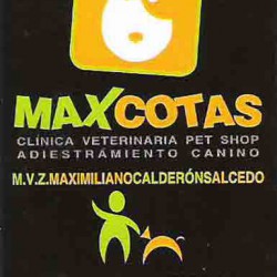 Maxcotas img-0