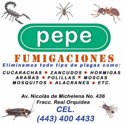 Pepe Fumigaciones img-0