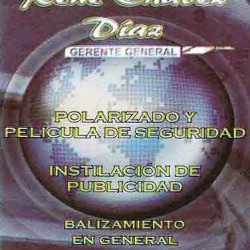 Polarizados y Vinil  Chávez img-0
