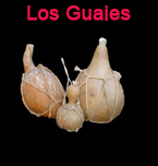 Logo de Restaurante Los Guajes
