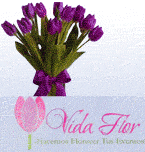 Logo de Vida Flor