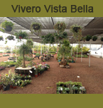 Logo de Vivero Vista Bella
