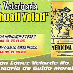 Yoa Zihuatl Yolatl  Clínica Veterinaria img-0