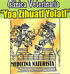 Logo de Yoa Zihuatl Yolatl  Clínica Veterinaria